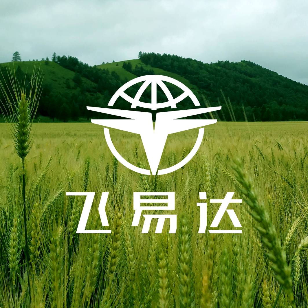 飛易達(dá)品牌LOGO設(shè)計(jì)，無人機(jī)品牌VI設(shè)計(jì)，電機(jī)品牌VI設(shè)計(jì)公司