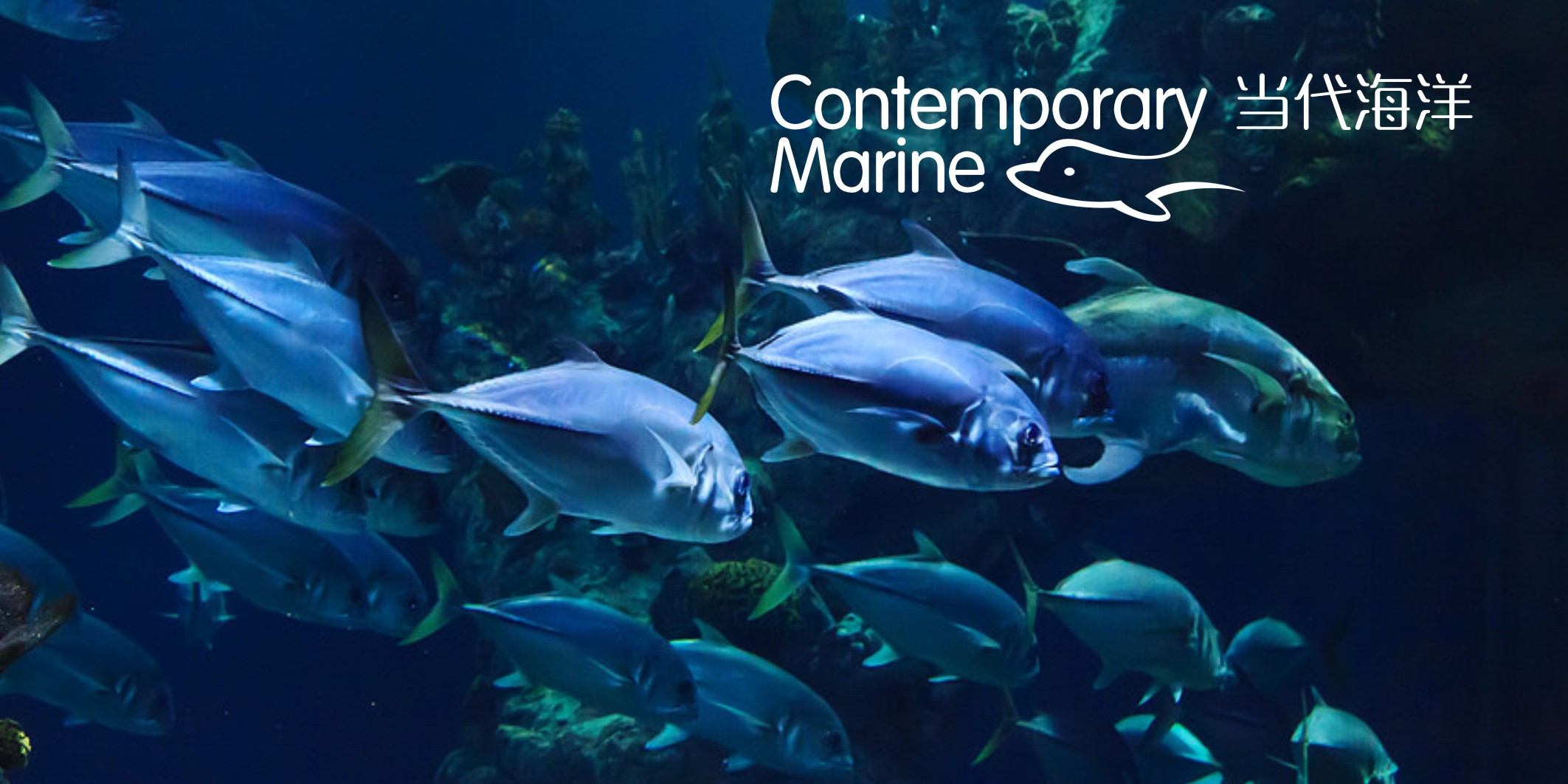 7天完成品牌升級(jí)！微型VI設(shè)計(jì)全流程解析